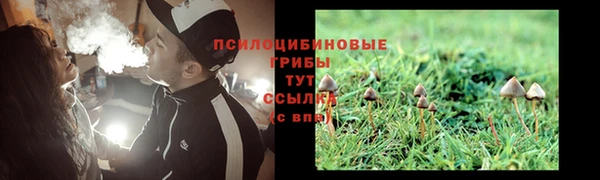 apvp Абаза