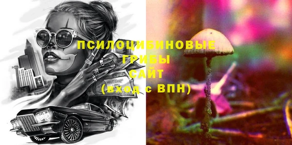 apvp Абаза
